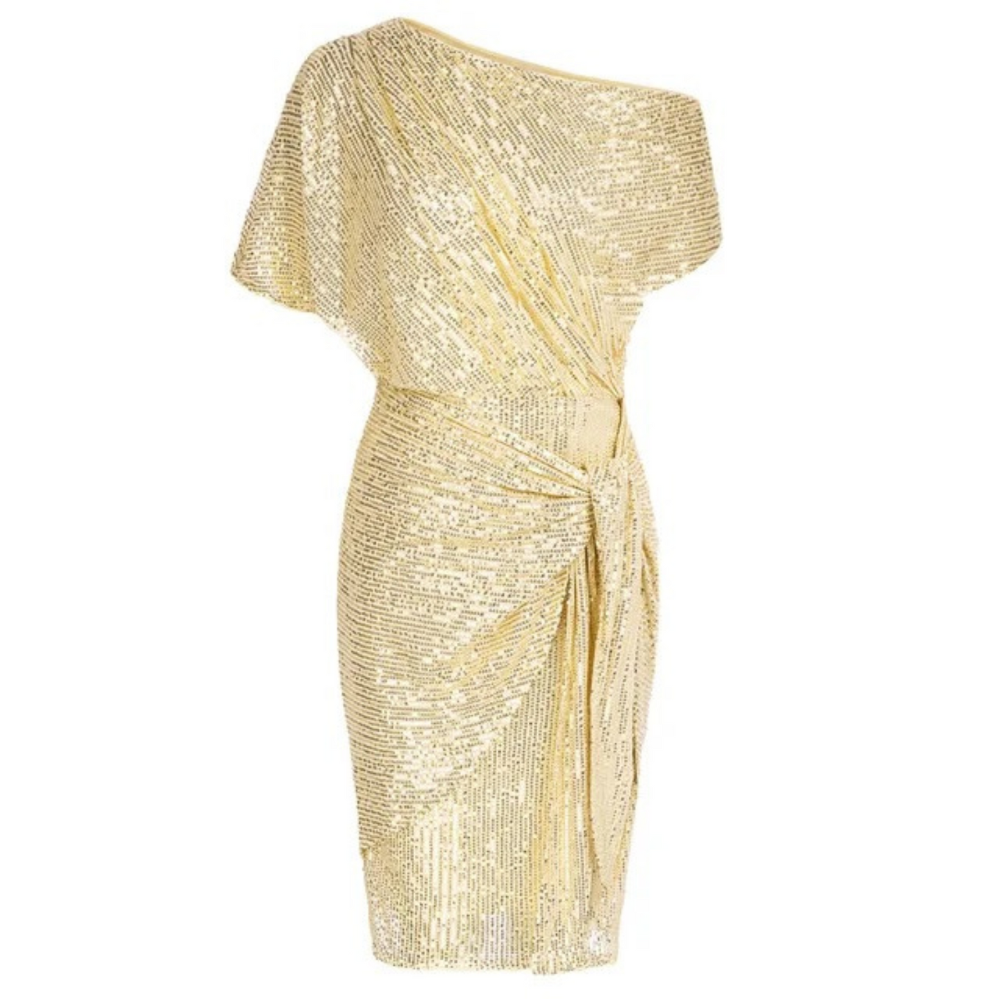 Luxe Glitter Sequin Dress