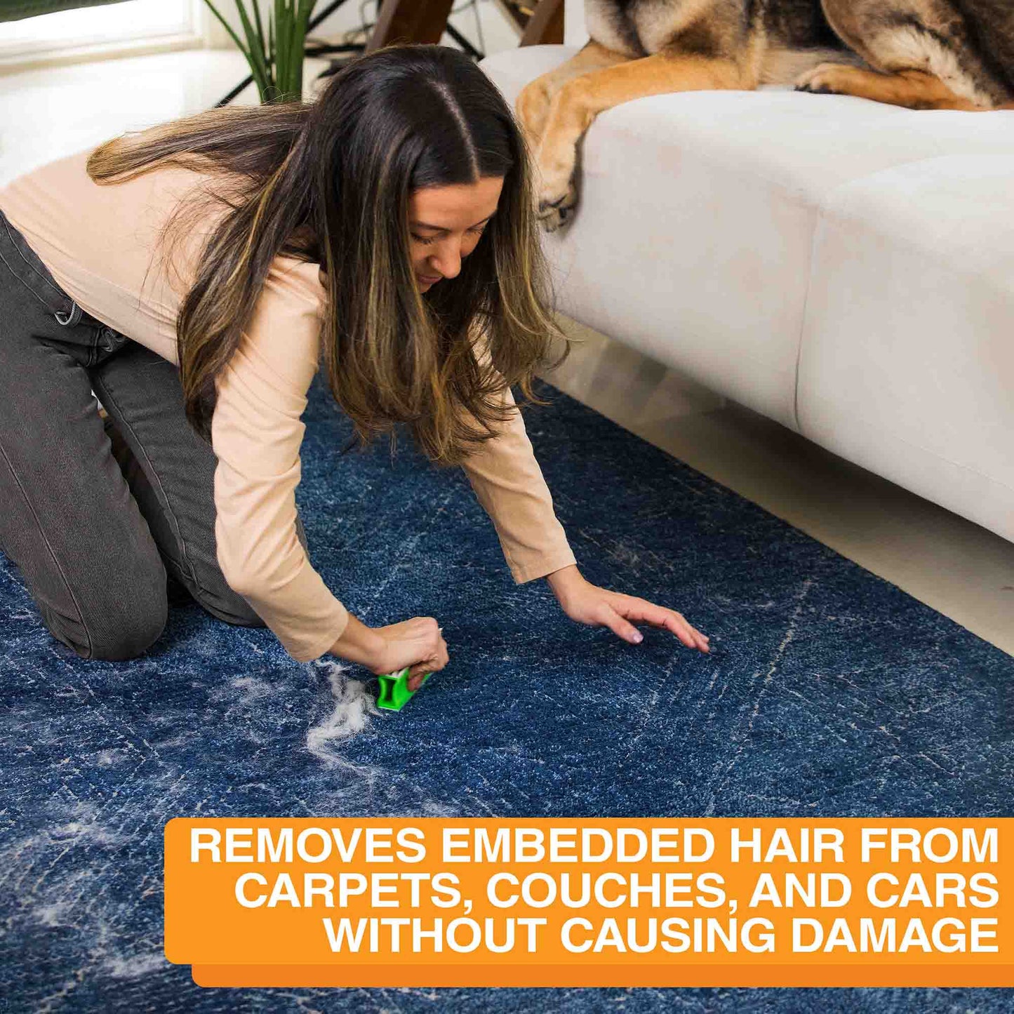 FurErase Pet Hair Eliminator