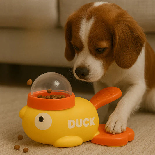The Duck PupFeeder